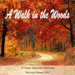 A Walk in the Woods Mp3