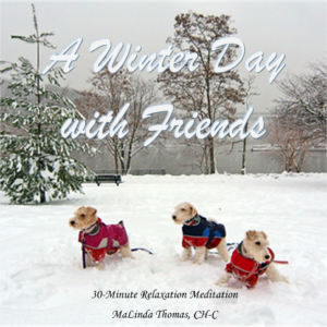 A Winter Day with Friends